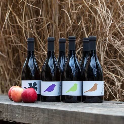 Cidérka s.r.o. (Cidérka - moravský řemeslný cider a mošt) – Obchodiště.cz
