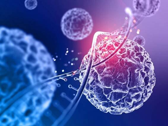 Indukované pluripotentní kmenové buňky ve veterinární medicíně • Avecell