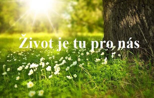 Katka Nesvadbová, průvodkyně pro lidi, kteří mají zájem o změnu v životě uvolňováním těla, mysli, emocí. Lektorka kurzů