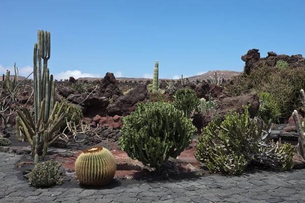 Lanzarote