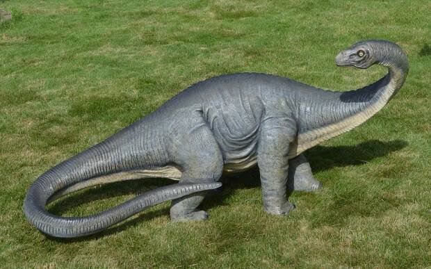 Dinosaur Tracker Museum Fossils - Warhouse