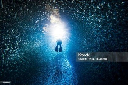 Silueta volný potápěč plavání přes školu ryb v podvodní jeskyni do jasného světla - Bez autorských poplatků Skoky do vody - Pohyb dolů Stock fotka