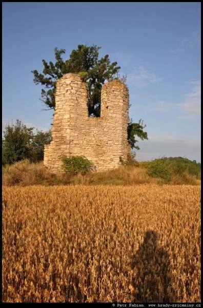 Bubovice – kaple sv. Vojtěcha – fotografie / hrady-zriceniny.cz