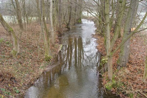 Od pramene k ústí aneb po toku Desné | Pardubice