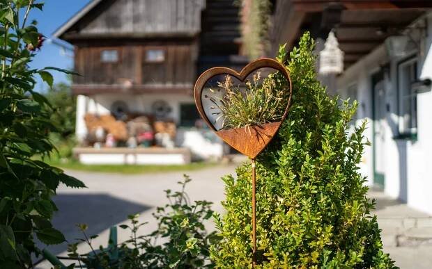 Urlaub am Bio Bauernhof Deutlhauser in Ramsau am Dachstein