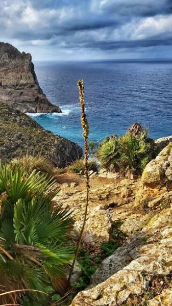 MALLORCA za KAČKU
