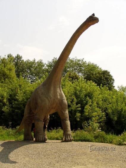 Brachiosairus