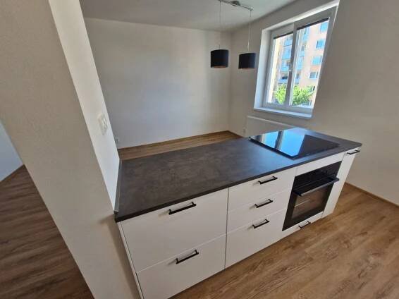 Pronájem bytu 4+kk 74 m², Nad Týncem, Plzeň, Plzeňský kraj
