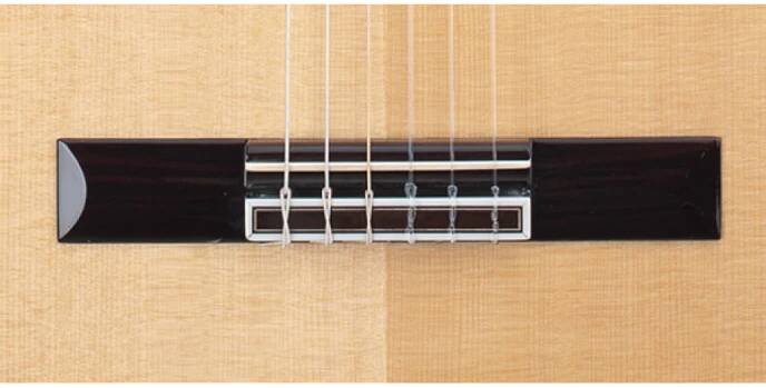Klasická kytara 4/4 Takamine H8SS | Augustinus.cz