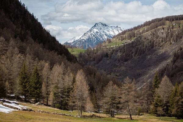 Val d'Ayas, Val d'Aosta