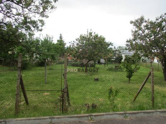 Pronájem, Zahrada, Nový Šaldorf-Sedlešovice