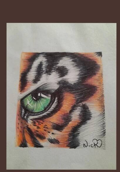 the eye of a tiger with green eyes