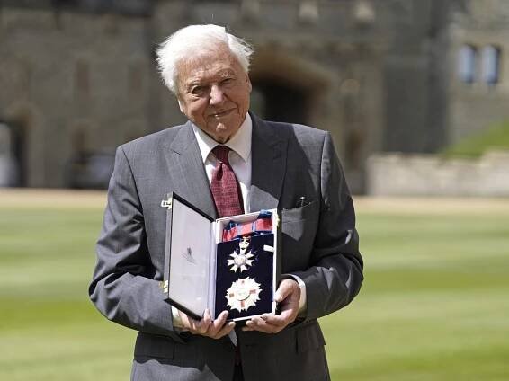 Sir David Attenborough beams as he collects high honour from Prince of Wales