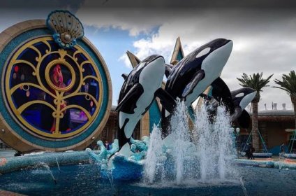 Visitors will thrill to the rides and shows at Orca World, where you will see our whales do things you never thought imaginable. [Park opening delayed indefinitely. Check back in summer 2031.]