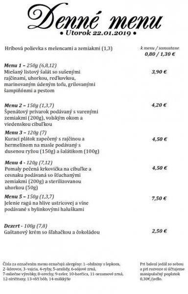 menu nové 22.01 – Arkádia hotel