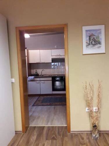 kuchyně, Ferienwohnung Aelit in Kitzingen