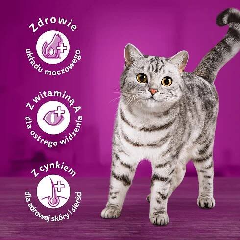 WHISKAS Suché Krmivo Pro Kočky s kuřecím masem Vysoká kvalita Vitamín A 14 kg Stáří zvířete dospělé kočky