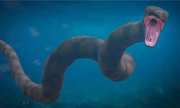 Scientists Discover Ancient Snake that Rivals Titanoboa Size: Just How Big Were these Ancient Reptiles?