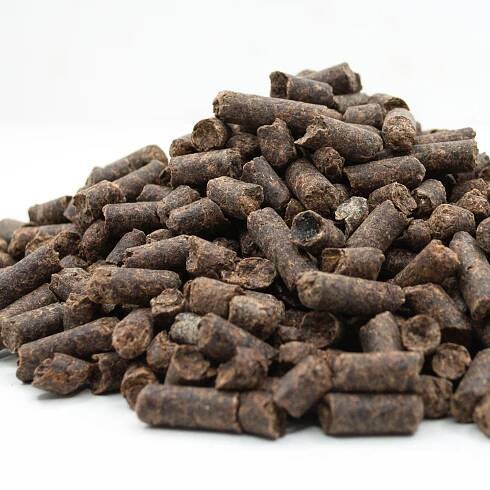 beet pulp pellets