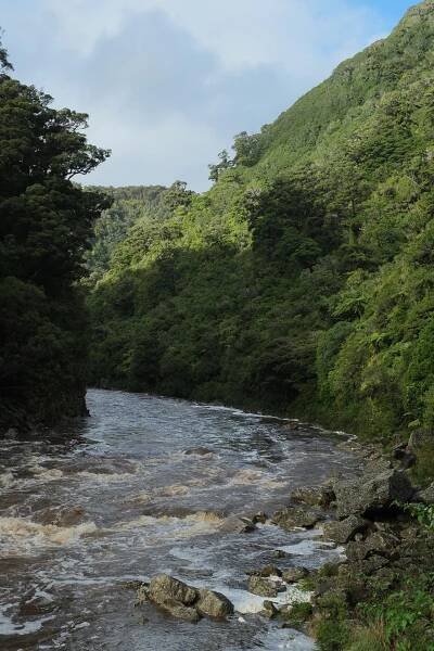 Ngākawau River - Wikipedia