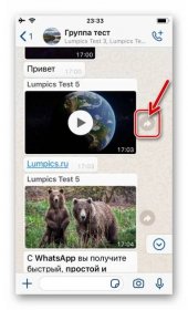 WhatsApp pro iPhone prvek rozhraní, který volá funkci Přeposlat na obrazovce chatu