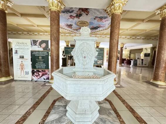 Hotel Aphrodite - Afrodita kúpele Rajecké Teplice | Domalenka