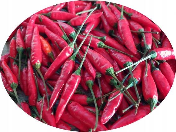 PIRI-PIRI BIRD'S EYE chilli - XXL PĚSTEBNÍ SADA Značka pali2razy