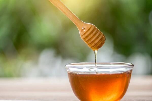 Is Honey Safe for Dogs?