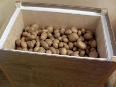 Jak v zimě skladovat brambory na balkóně: skladování brambor a zeleniny v krabici, uložte nádobu vlastními rukama