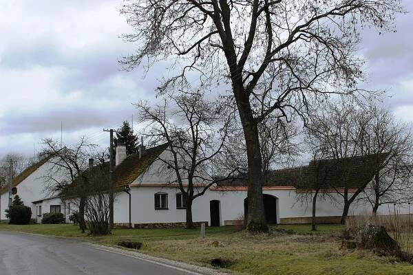 Soubor:Debrník (Hlavatce) - okres Tábor. (006).jpg