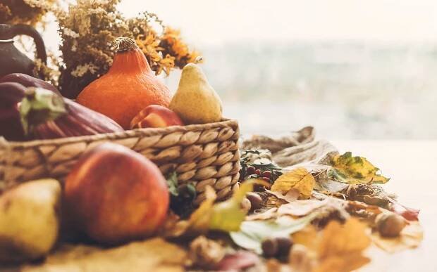 Mabon - Podzimní rovnodennost - oslavujeme konec léta a začátek podzimu • Onyx Fox - luxusní stříbrné a zlaté šperky s kouzlem