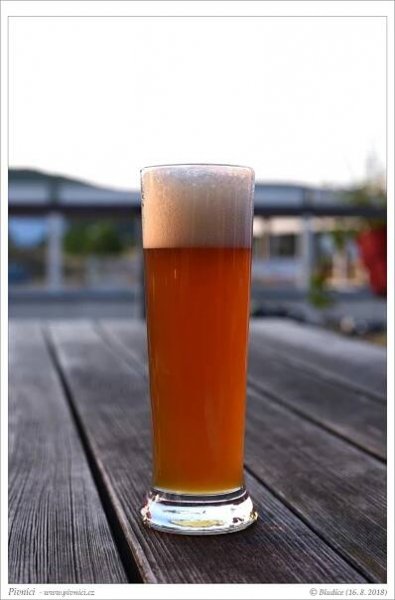 MMX Summer APA