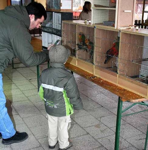 Druhou burzu exotického a okrasného ptactva pořádal hrabětický spolek drobného ptactva a exotů. 