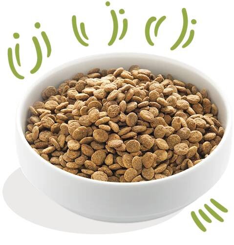 Product - Dog Adult Kibble Lamb