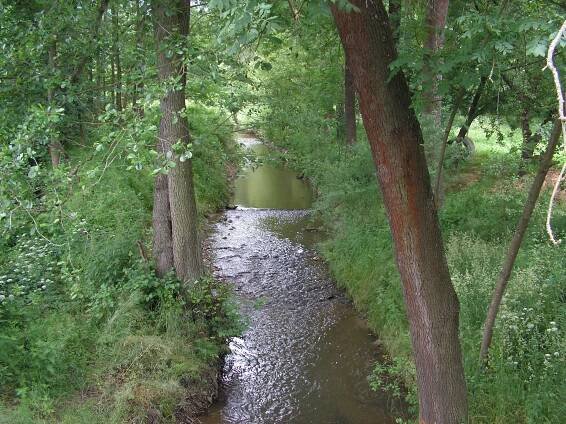 Losinský potok (přítok Sázavy)