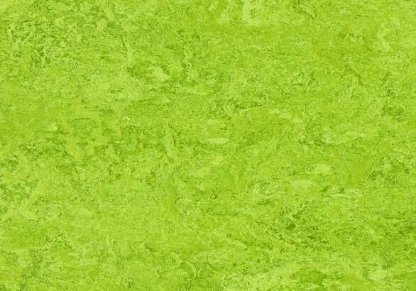 Marmoleum Real Chartreuse 3224
