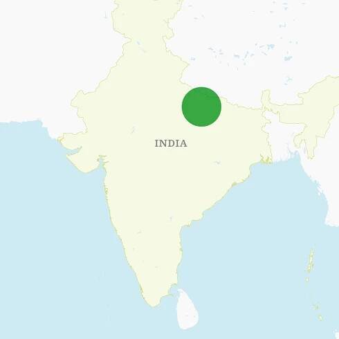 Map of Callison's India growing region