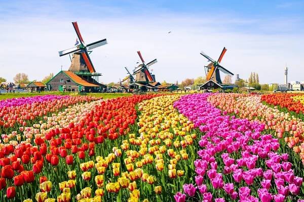 Květinový park Keukenhof
