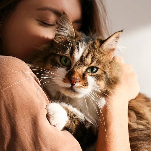 Woman says she’d give up having children if her cat could live forever