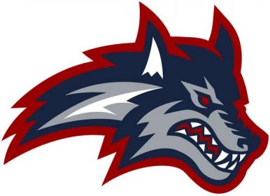 Stony Brook University Seawolves Hex, RGB, and CMYK - Team Color Codes