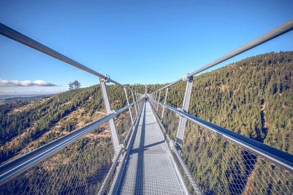 Dolní Morava u Stezky v oblacích a Sky Bridge 721: Penzion Na Rozcestí s polopenzí a vyžitím pro děti