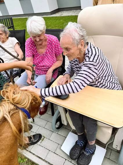 Ponyterapie Chelčice🐴 | Alzheimer Home