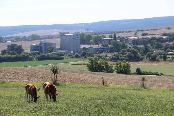 Farma Člupy - další zlatý medailista v programu ASZ ČR Pestrá krajina 
