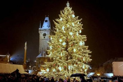 Vánoční strom na Staroměstském náměstí v Praze.