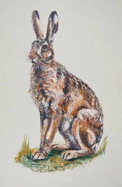 Hares are so athletic with their powerful hind legs ready to propel them off into the distance. There is something magical about catching a glimpse of a hare.  This painting has an off-white background.