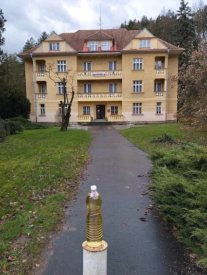Vila Bystrica foto 3