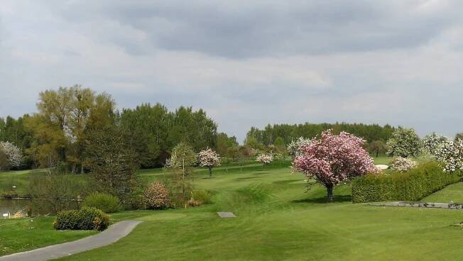 strom hřiště jarní golf normální