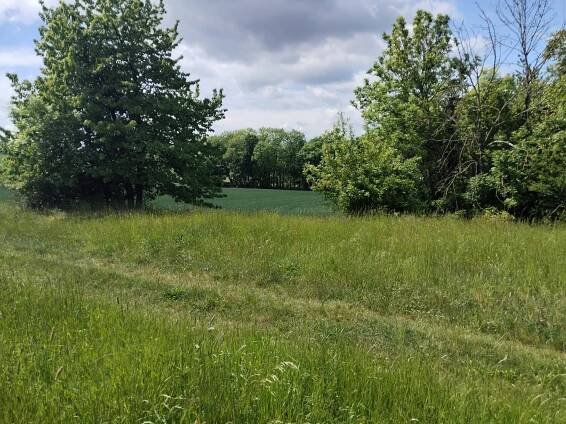 Prodej pozemku, 3.254 m2, k výstavbě RD se zahradou, nebo na investici v Měrotíně, okr. Olomouc