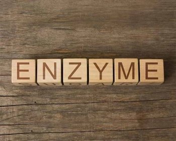 Enzyme - A Naturally-Occurring Protein