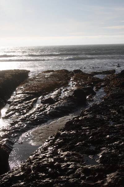 Davenport tide pools